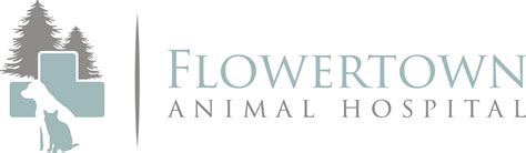 Flowertown animal hospital - With a Great Pet Care account you can upload, manage, and share your pet's medical records from Flowertown Animal Hospital with ease! Your pet's medical records are often required …